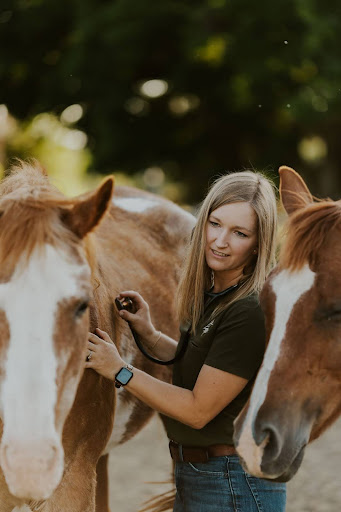 Equine general medicine services