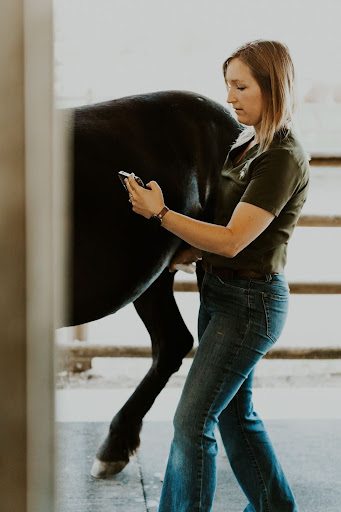 Equine emergency veterinary services